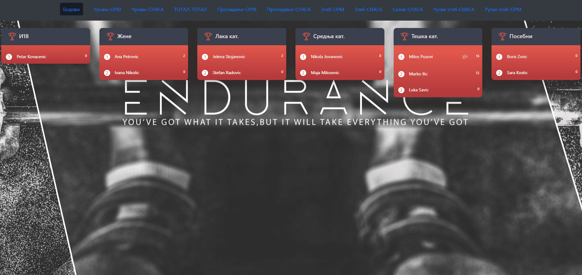 Fitness Leaderboard preview